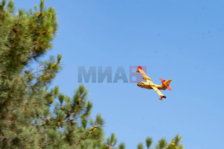 Пожарникари се борат со голем шумски пожар на хрватскиот остров Брач