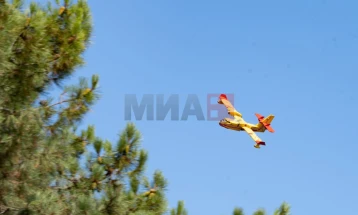 Пожарникари се борат со голем шумски пожар на хрватскиот остров Брач