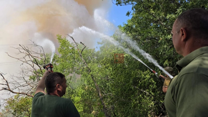 Për shkak zjarrit në 