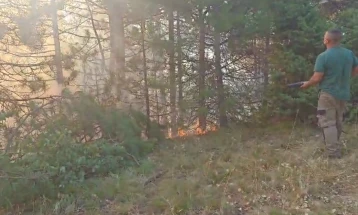 Angelov: Jasen wildfire worsening, swift intervention halts spread