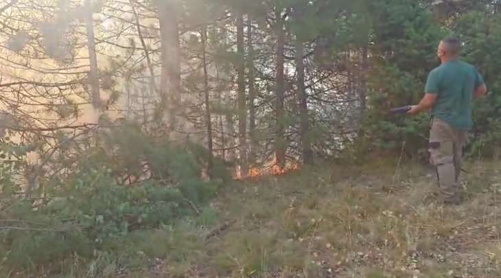 Angellov: Zjarri në Jasen po përkeqësohet, por me intervenim të shpejtë është ndaluar