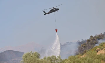 Shqipëria - rekord i zi në rajon, deri më tani janë djegur 55.154 hektarë tokë