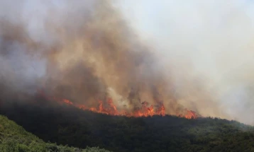 CMC: Four active wildfires, one under control 