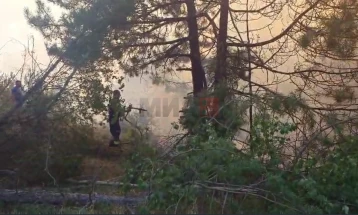 ЦУК: Се уште активен пожарот во „Јасен“, изгаснати 12, еден под контрола