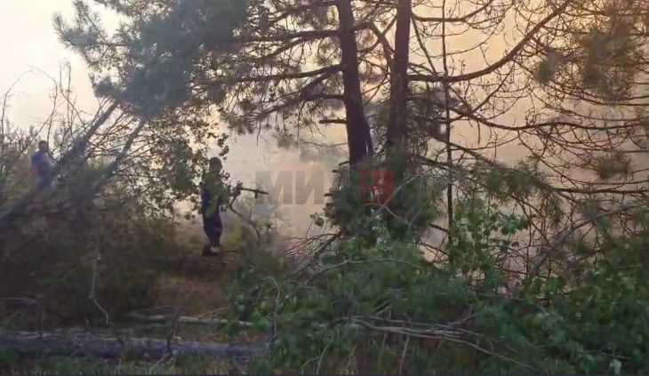 QMK: Ende është aktiv zjarri në 