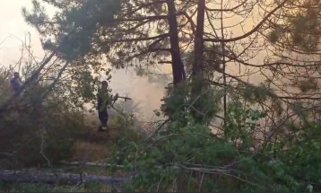 CMC: Seven active wildfires, 12 extinguished, one under control 