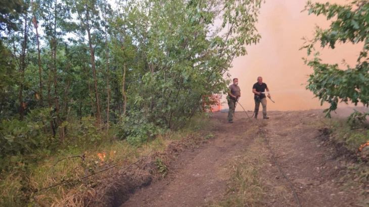 Angelov: Era e fortë e përkeqësoi situatën me zjarrin në 
