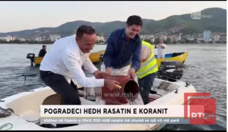 Охридското Езеро кај Поградец порибено со 200 илјади единки  охридска пастрмка