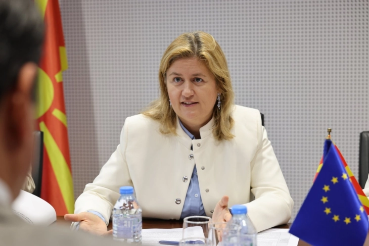 Takim i Bozhinovskës me Rokas: Mbështetja e BE-së është kyçe në procesin e transformimit energjetik në vend