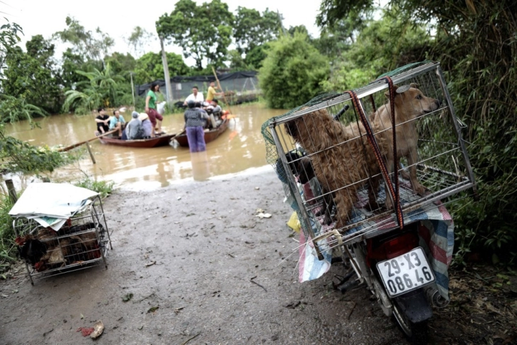 Близу 600.000 луѓе во Виетнам се евакуираат поради тајфунот Каџики