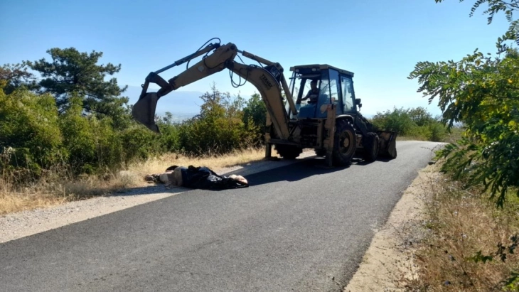 Леш од крава фрлен на патот кон струмичките Цареви Кули