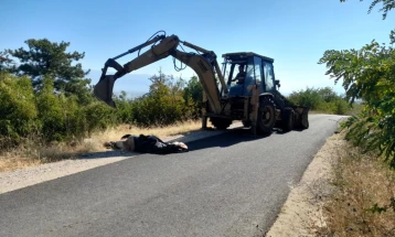 Леш од крава фрлен на патот кон струмичките Цареви Кули