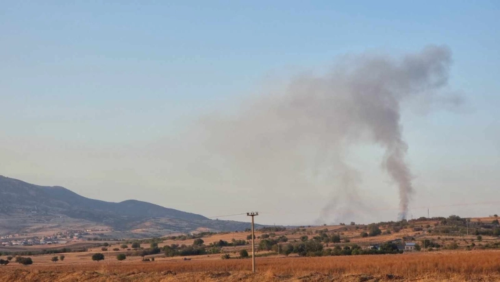 Gjashtëmbëdhjetë zjarre të regjistruara në të gjithë Maqedoninë - tre janë ende aktive