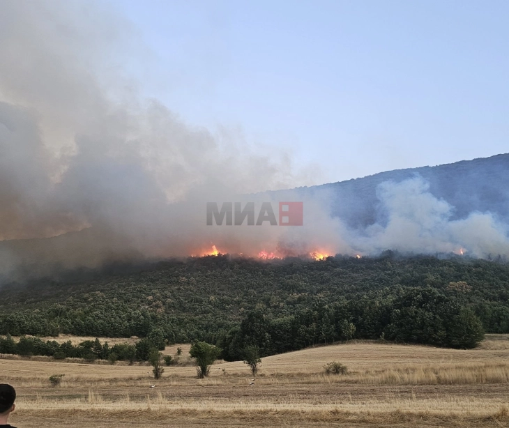 Po intervenohet në katër zjarre në zonat malore të komunës së Zhelinës, kryetari i komunës dyshon se janë të qëllimshme