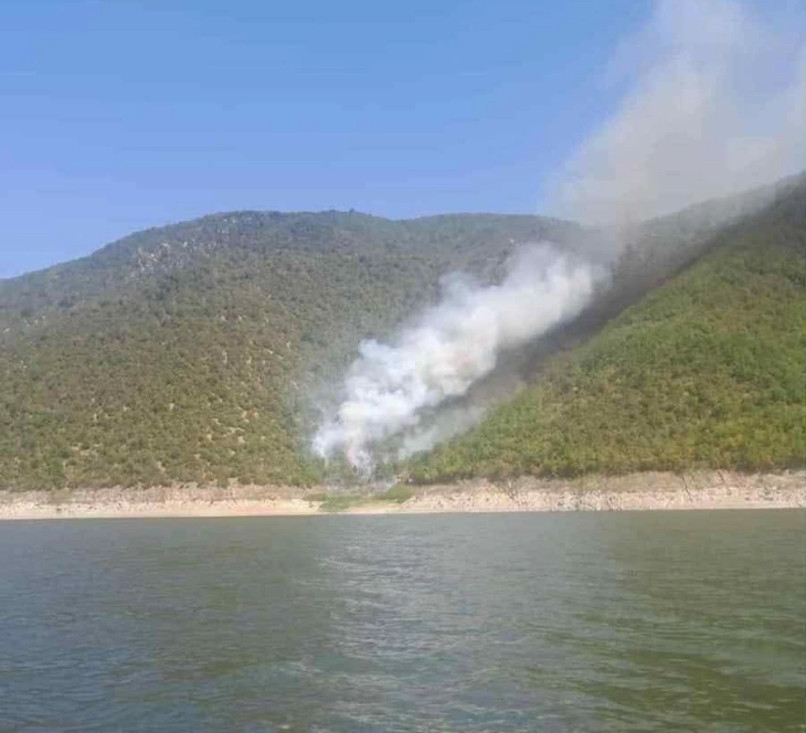 Пожарот кај Тиквешко Езеро под контрола, изгаснат пожарот кај Мушов Гроб 