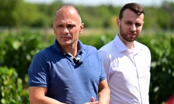 Филипче: Владата со цинични половина денар за килограм се фали со повисоки откупни цени на грозјето