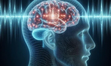 Руски научници открија „хемиски коктел“ против стареење на мозокот