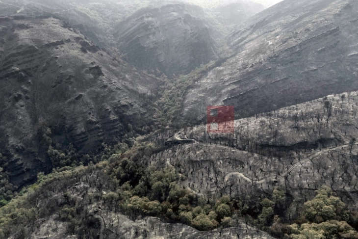 Шпанија: Најлошата фаза од шумските пожари заврши, следува постојан надзор