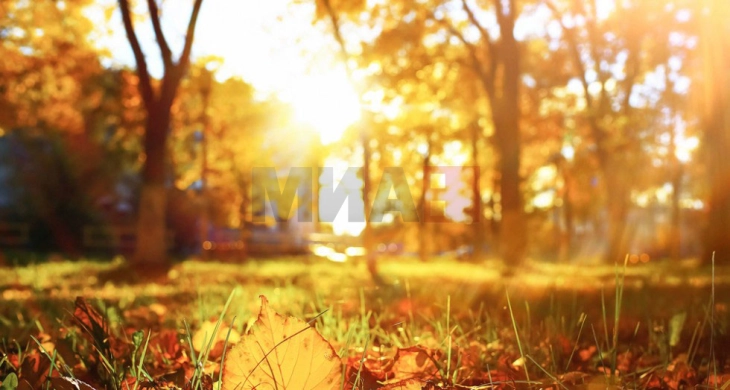 Сончево со мала до умерена локална облачност, максималната температура до 37 степени