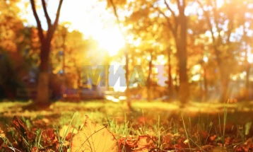 Сончево со мала до умерена локална облачност, максималната температура до 37 степени