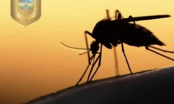 Прскање против комарци в четврток во Струга