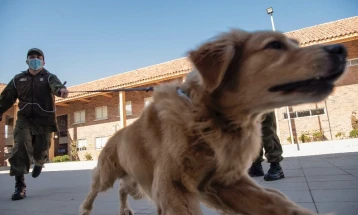 Регионална обука за зајакнување на капацитетите на полициските тимови кои работат со службени кучиња