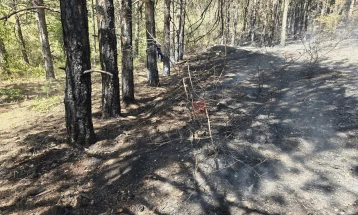 Под контрола пожарот во атарот на село Никуштак, Липковско