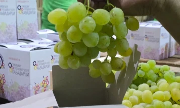 Посетителите на „Тиквешки гроздобер“ покрај бесплатен паркинг ќе добијат и грозје 