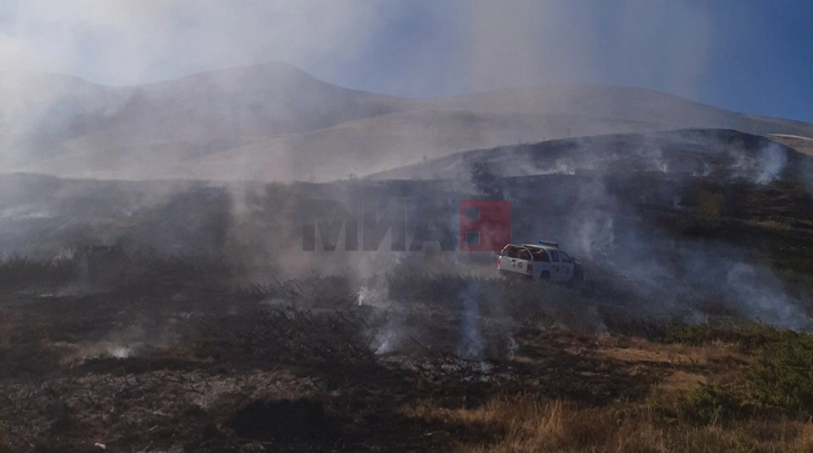 QMK: Gjithsej 17 zjarre në ambiente të hapura, dy janë aktive, katër janë nën kontroll dhe 11 janë shuar