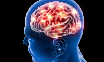 Во кој дел од денот, човековиот мозок работи најдобро?