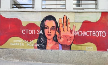 Вкупно 54 жени за една година побарале помош од регионалниот Центар за поддршка на жртви на семејно насилство во Кавадарци