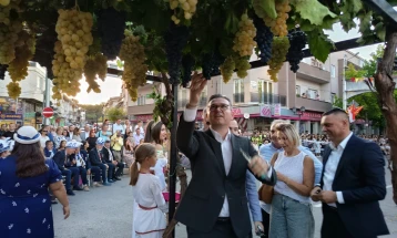 Во Кавадарци се одржа традиционалниот „Тиквешки карневал