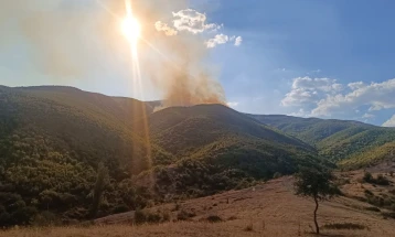 Zjarri afër Nikushtakut aktiv, në shuarje janë kyçur dy 