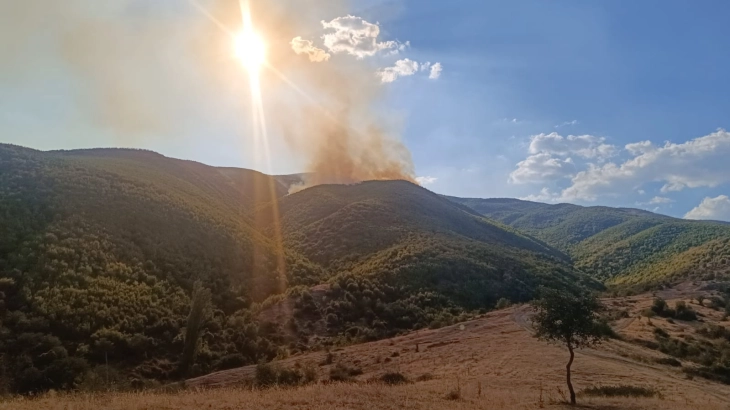 CMC: Gazi Baba's Vardarishte landfill fire still under control