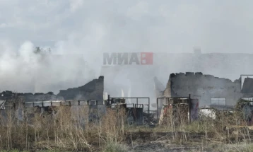 Është përcaktuar paraburgim afatshkurtër për katër persona të dyshuar për zjarrin në Trubarevë