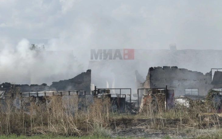 Court orders 48-hour detention of four suspects over Trubarevo fire