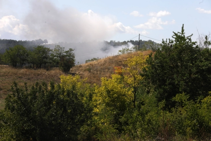 CMC: Trubarevo and Drisla fires under control, four remain active