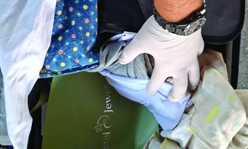 Царинска управа: На ГП Стење фатен патник со златен накит вреден 346 илјади денари