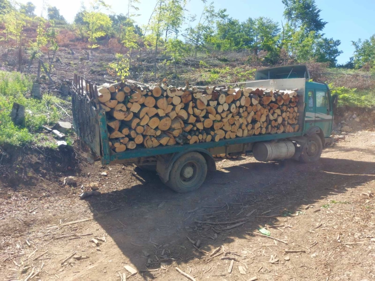Major police operation against illegal logging underway