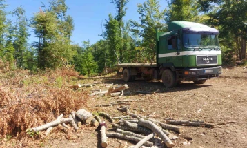 Отворена истрага против 15 лица осомничени за пустошење шуми, меѓу кои и директорот на ЈП Национални шуми – ПО Малешево и началникот на ОВР Делчево