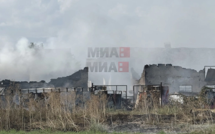 MMJPH: Pas zjarrit në Trubarevë janë matur përqë[ndrime të larta të grimcave dhe metale të rënda, momentalisht nuk ka tejkalim të vlerave kufitare