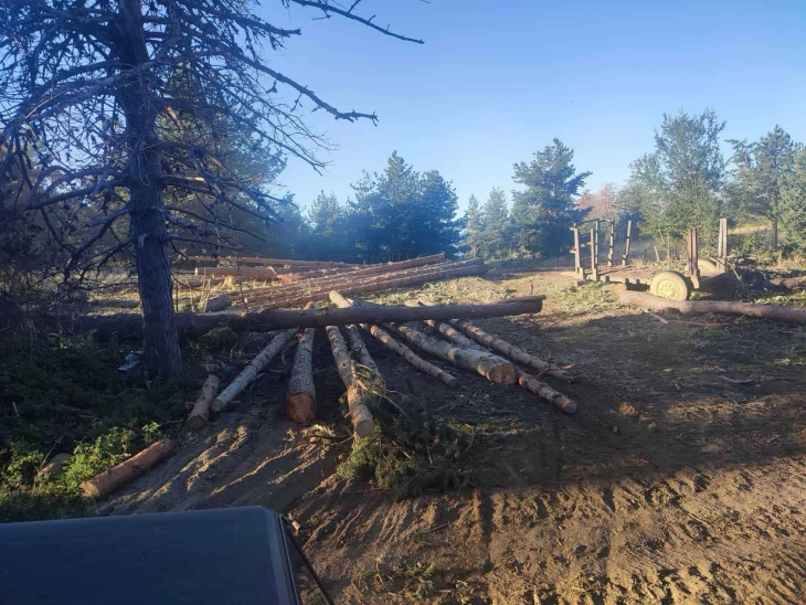 Лишени од слобода 15 лица, меѓу кои има  вработени во МВР, ЈП Национални шуми, МЗШВ, со пустошење шуми предизвикале штета од над 100 милиони евра