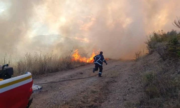 Large fire breaks out above Batinci village, spreads quickly