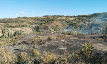 Angellov: Plotësisht nën kontroll zjarri mbi Batincë, kemi indikacione se është vënë qëllimisht