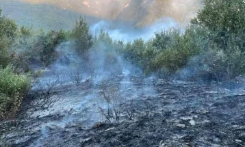 Кривична пријава за двајца дебрани за предизвикување пожар во градски парк