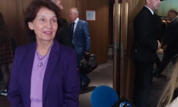 Diaspora council to be constituted to boost contacts, says Siljanovska - Davkova