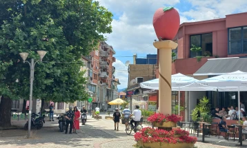 Во Ресен се одржува манифестацијата „Преспански јаболкобер“