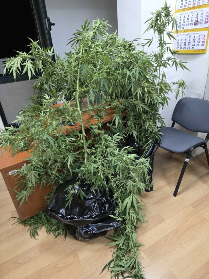 МВР: Лишени од слобода двајца Скопјани, при претрес пронајдена марихуана