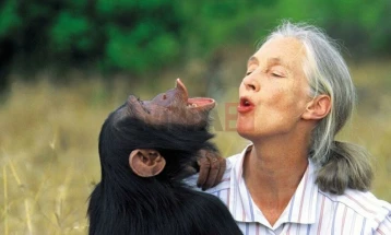 Светски познатата активистка за правата на животните, Џејн Гудал почина на 91 година