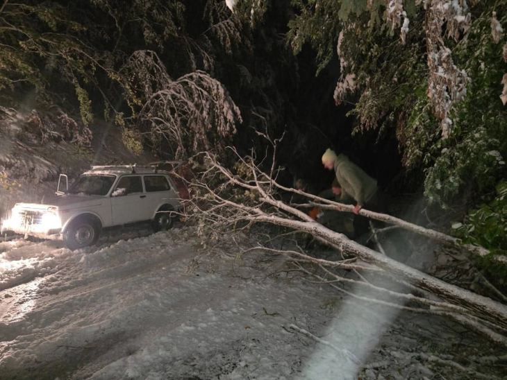 Во Маврово над 30 сантиметри снег, вработени во НП Маврово ги чистат паднатите дрвја на коловозите 